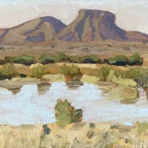 Toor Kop near Aberdeen, oil painting by Tracy Algar