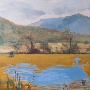 Curt Marthezé. Karoo Dam. 2019